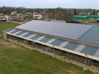 sunenergy impianto fotovoltaico - news -Bando Agrisole 2026